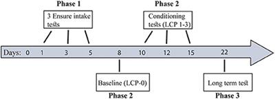 A Potential Animal Model of Maladaptive Palatable Food Consumption Followed by Delayed Discomfort